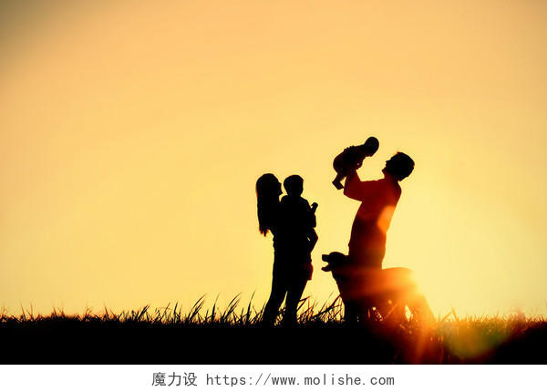 一个幸福的家庭四口人母亲父亲宝贝和孩子和他们的狗在夕阳的天空副本空间或文本的余地一个剪影